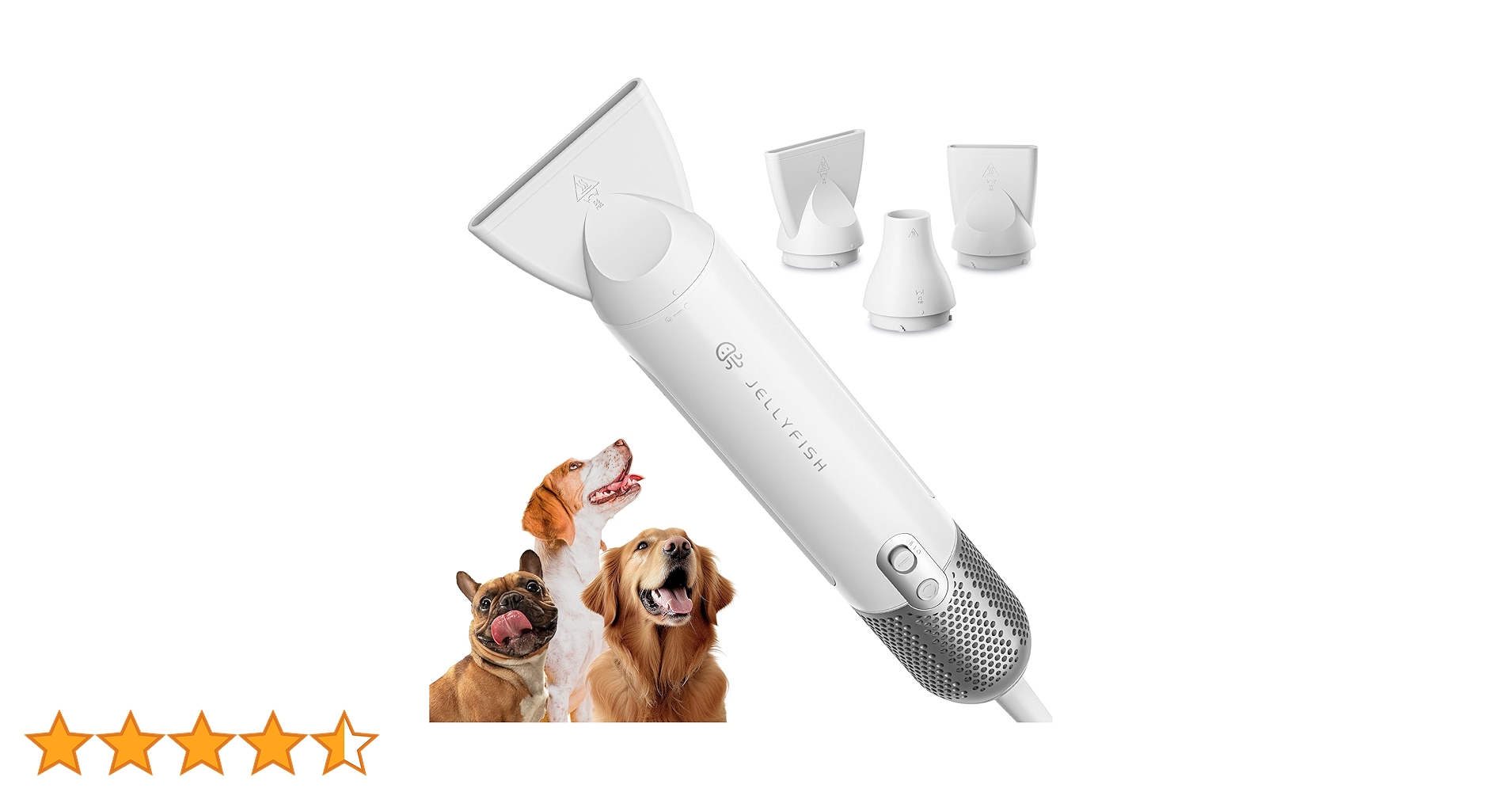 71mYP1uH1GL.jpg_BO30,255,255,